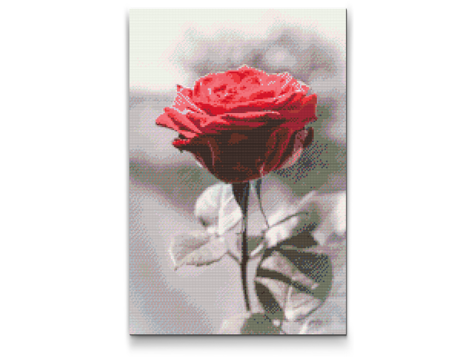 Diamantové malování - Blooming Rose